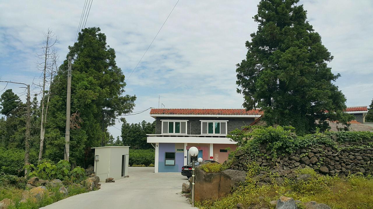 예례동 제주 머무리 빌라 외부 사진