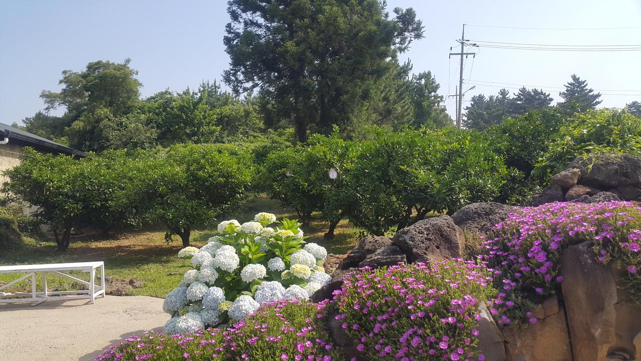 예례동 제주 머무리 빌라 외부 사진