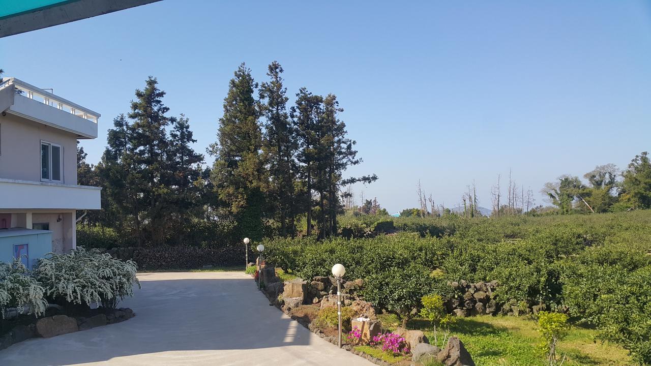 예례동 제주 머무리 빌라 외부 사진
