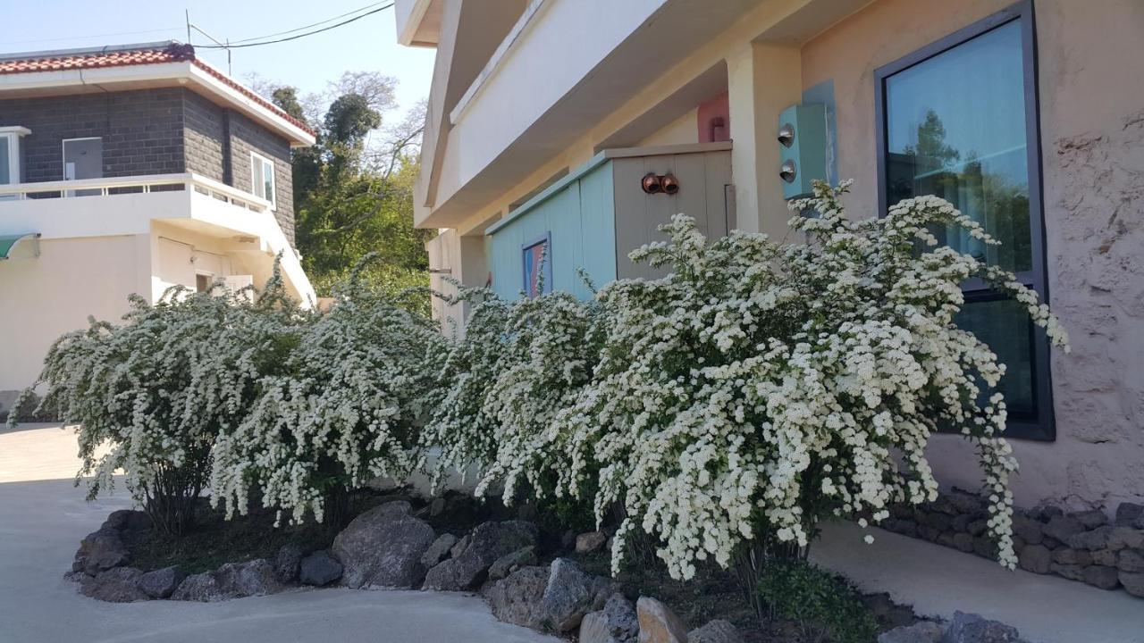 예례동 제주 머무리 빌라 외부 사진