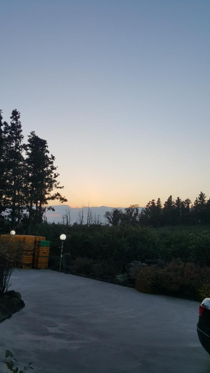 예례동 제주 머무리 빌라 외부 사진