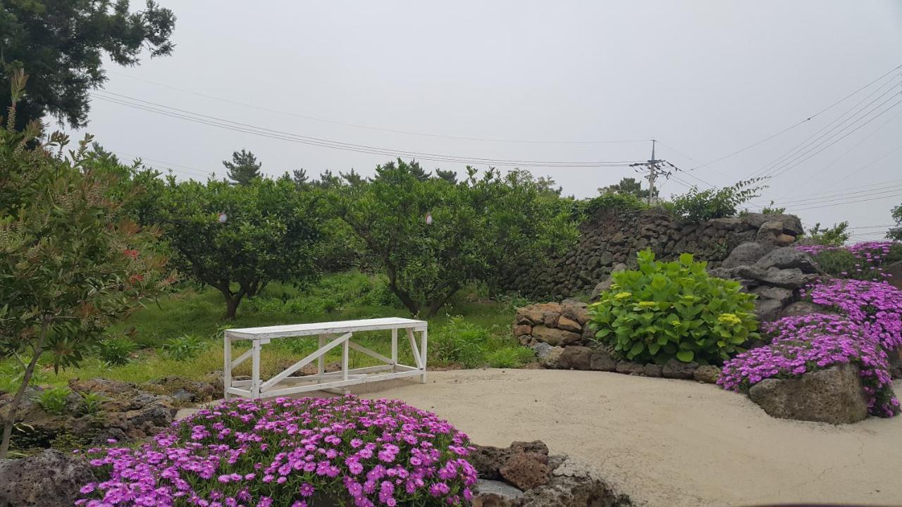 예례동 제주 머무리 빌라 외부 사진