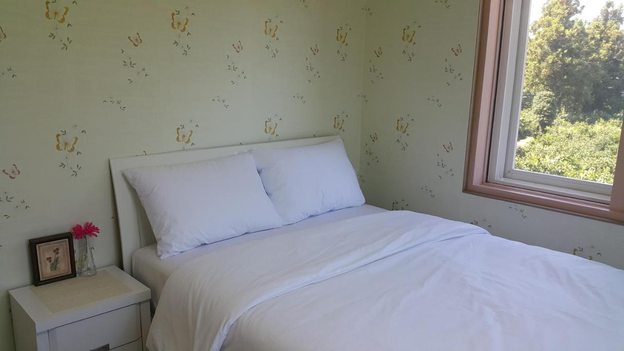 예례동 제주 머무리 빌라 외부 사진