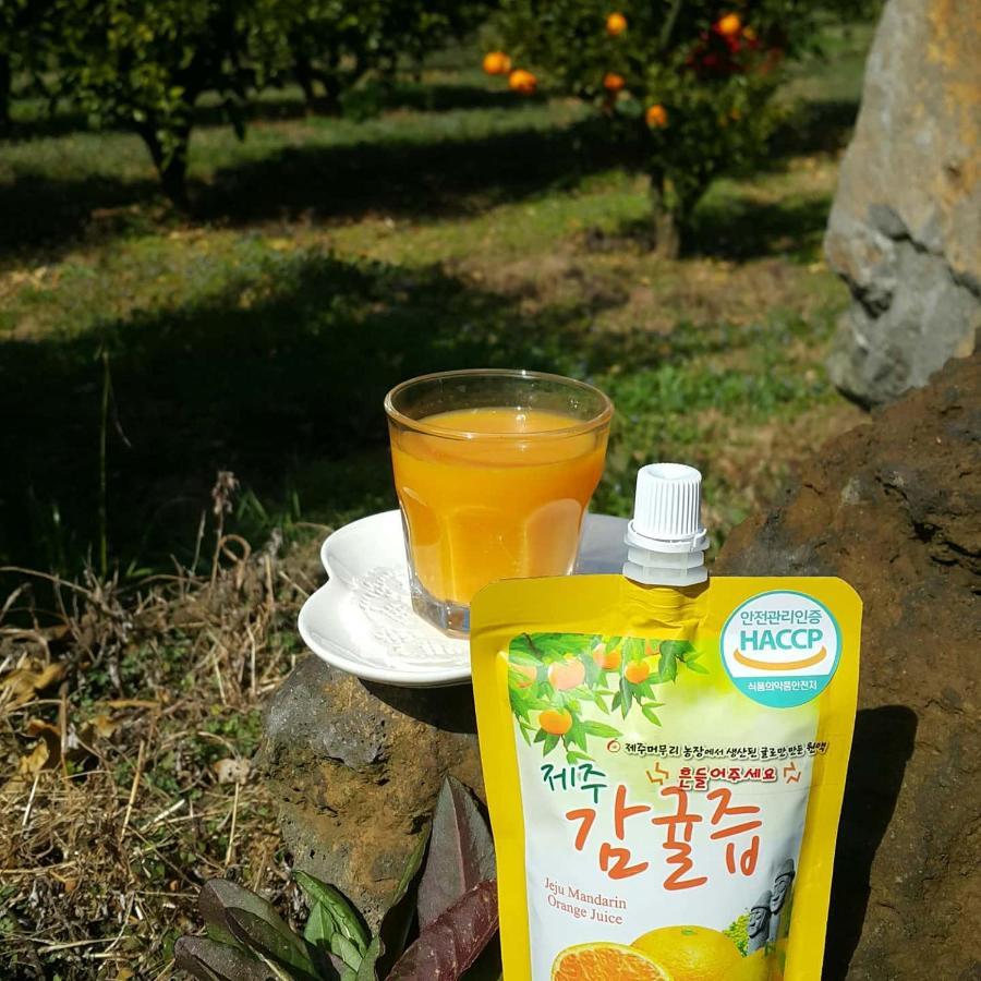 예례동 제주 머무리 빌라 외부 사진