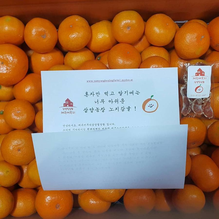 예례동 제주 머무리 빌라 외부 사진