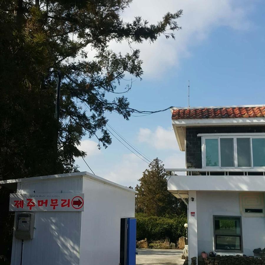 예례동 제주 머무리 빌라 외부 사진